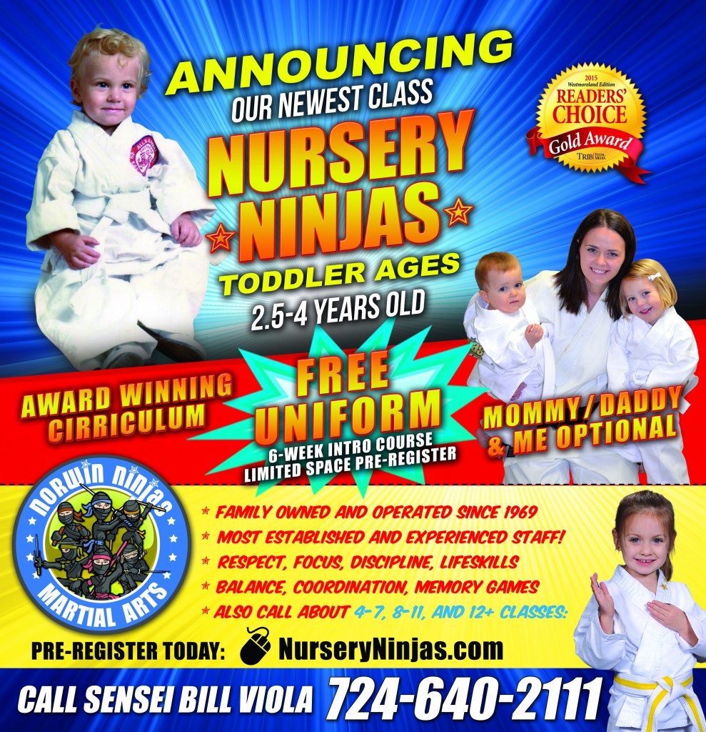nursery ninjas 2-3 year olds